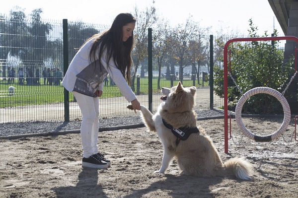 Parques para Perros