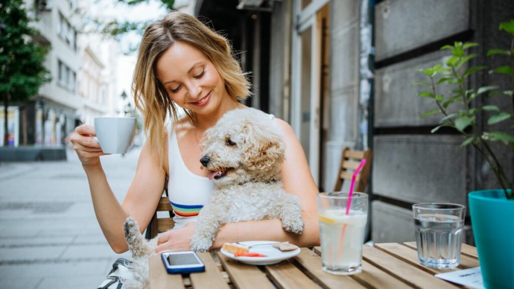 Qué Significa Pet Friendly Un Movimiento en Crecimiento en Chile y el