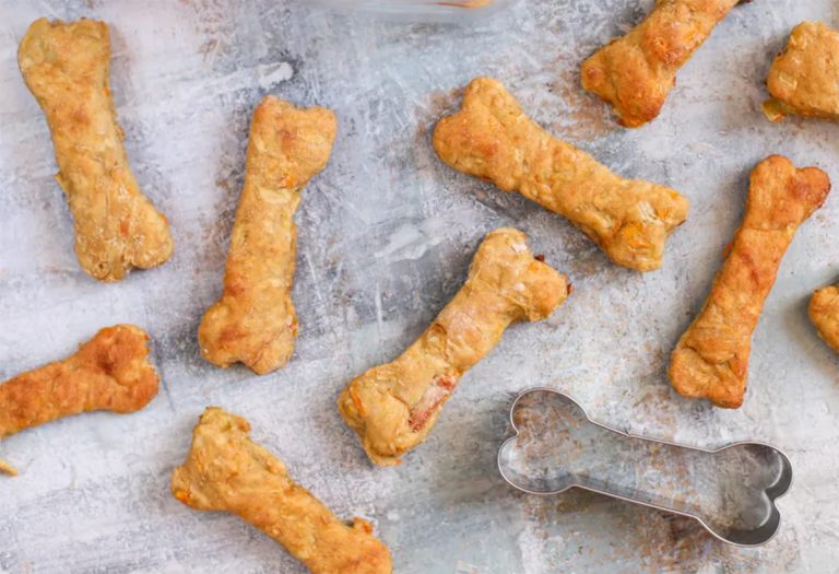 Galletas Para Perros de Manzana y Zanahoria – Receta Casera