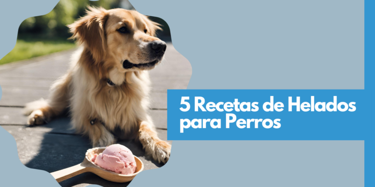 5 Recetas de Helado para Perros
