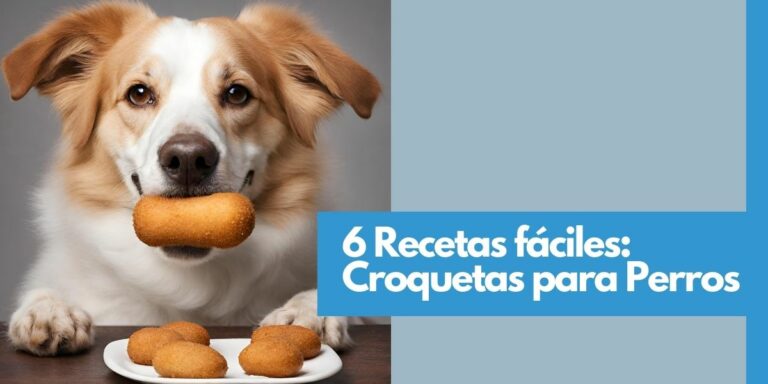 Croquetas para perros: 6 recetas nutritivas y variadas para hacer en casa fácil