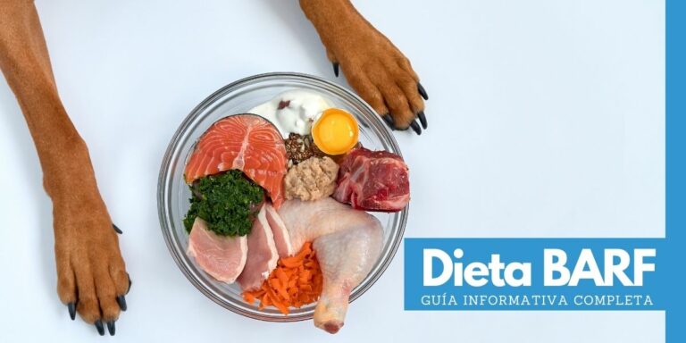 Dieta BARF: Mejora la salud de tu perro con Alimentos Naturales