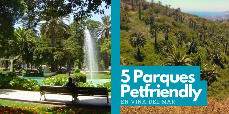 5 Parques para ir con tu Perro en Viña del Mar y sus alrededores