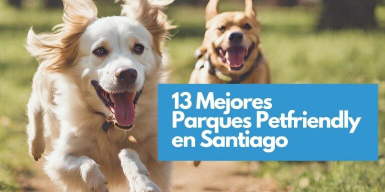 Los 13 Mejores Parques Petfriendly de Santiago : De paseo con mi perro