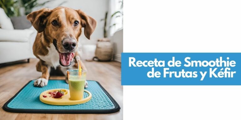 Receta de Smoothie de Frutas y Kéfir para perros