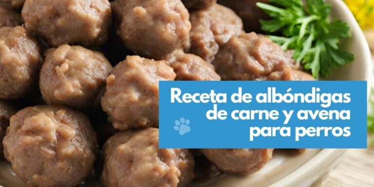 Receta para perros de albóndigas de carne molida y Avena