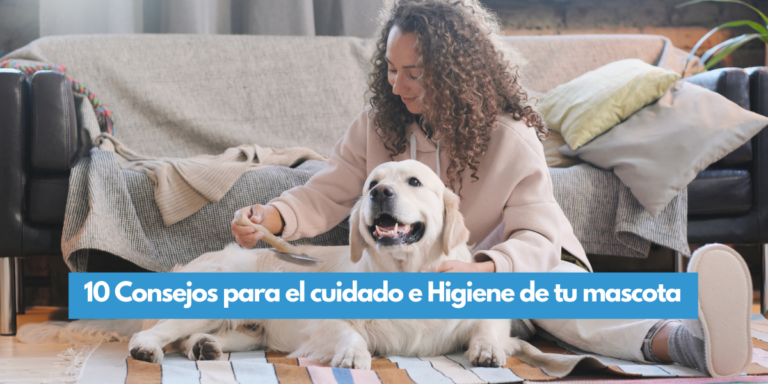 10 Consejos para el cuidado e higiene de tu mascota