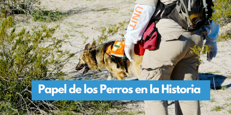 Perros en la Historia: Datos curiosos sobre el papel del perro en la humanidad