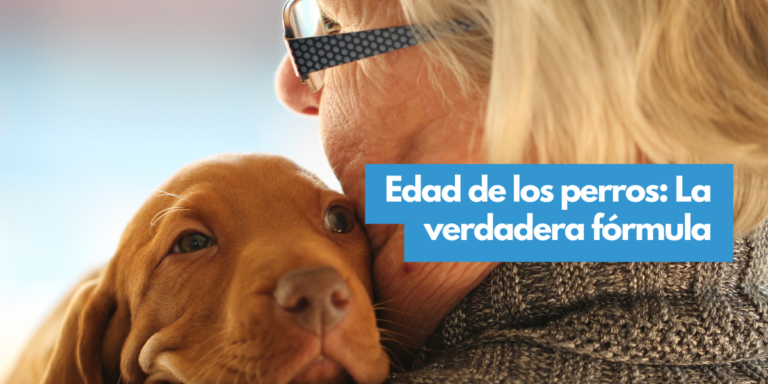 ¿Cómo calcular la edad de perros en años humanos? Nueva Fórmula revela su Edad Real