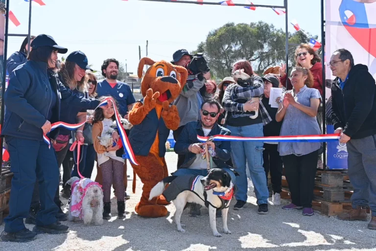 Celebrando Fiestas Patrias con tu Perro: Revisa las Fondas Petfriendly en Chile