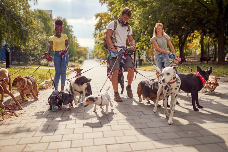 Perros en transformación: Entran en nueva etapa de evolución según científicos