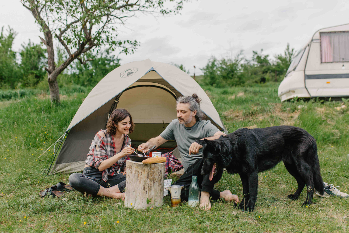 camping petfriendly chile